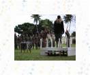 19-Military Marching * 500 x 375 * (53KB)